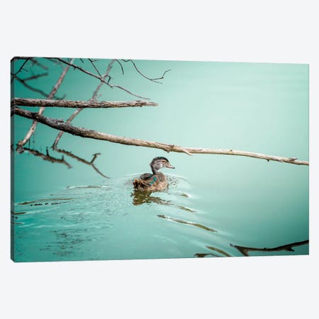 Duck On A Milky Cyan Water Male Canvas Print #NRV18} by Nik Rave Canvas Art Print