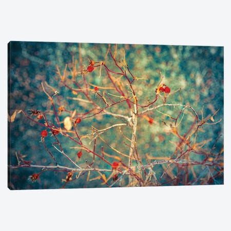 Golden Bush On A Navy Blue Silver Background Canvas Print #NRV198} by Nik Rave Canvas Wall Art