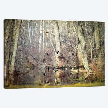 Deer Surrounded By Birds Canvas Print #NRV205} by Nik Rave Canvas Print