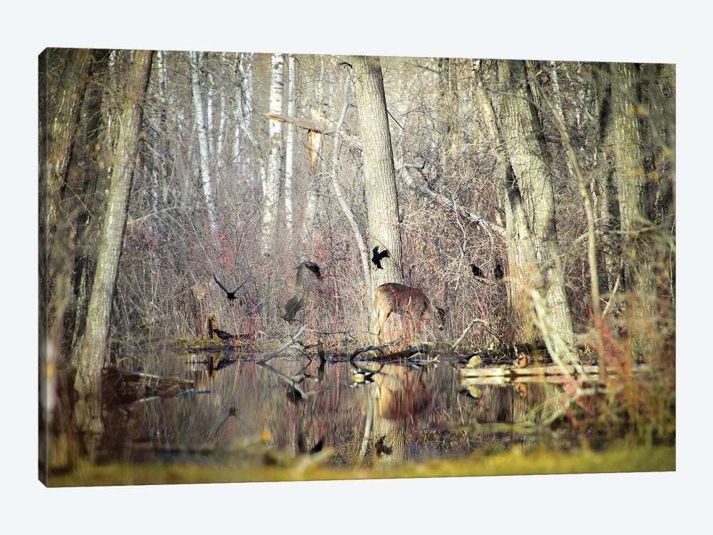 Deer Surrounded By Birds by Nik Rave 1-piece Canvas Wall Art