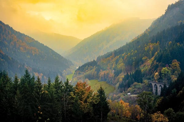 Pine Trees: Schwartzwald Landscape: Sunset Hills Valley by Nik Rave