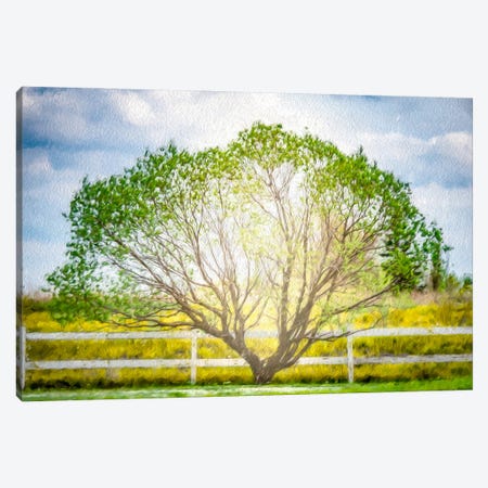 Arc Tree In Light Of The Sun Painting Canvas Print #NRV221} by Nik Rave Canvas Artwork