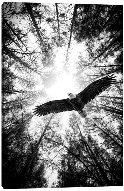 Master Of Heaven Bold Eagle B&W Canvas Art Print - Pine Trees