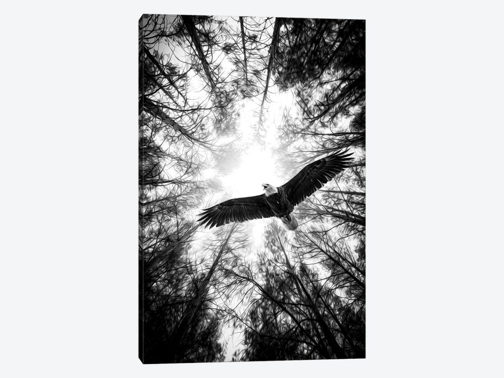 Master Of Heaven Bold Eagle B&W by Nik Rave 1-piece Canvas Print