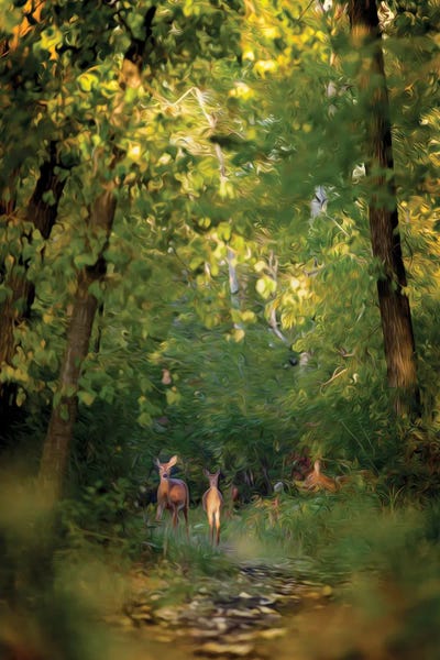 Deer Family In Forest Early Morning Painting by Nik Rave framed canvas print