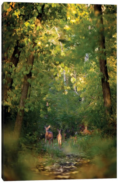 Deer Family In Forest Early Morning Painting Canvas Art Print