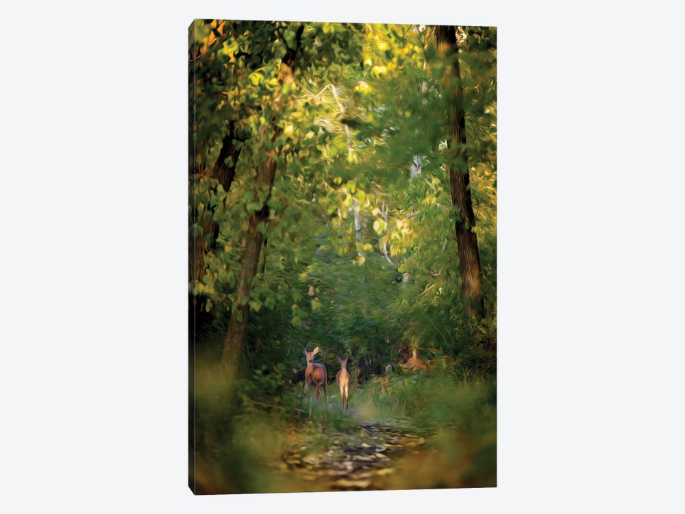 Deer Family In Forest Early Morning Painting by Nik Rave 1-piece Canvas Wall Art
