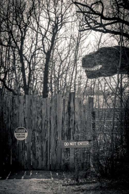 Do Not Enter Dinosaur by Nik Rave wall art
