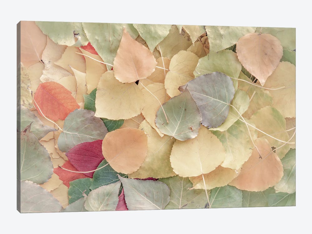 Fallen Leaves Creamy by Nik Rave 1-piece Art Print