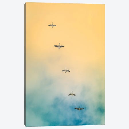 Geese In The Sky Canvas Print #NRV264} by Nik Rave Canvas Art Print