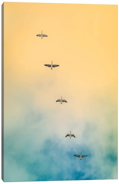 Geese In The Sky Canvas Art Print - Goose Art