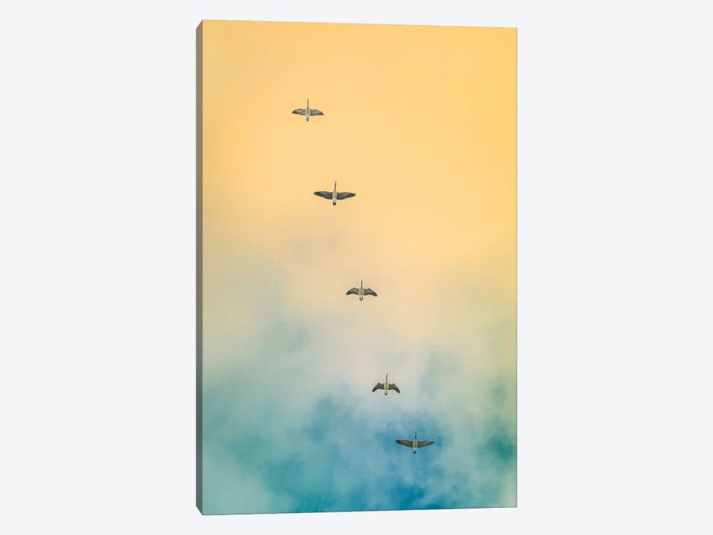 Geese In The Sky by Nik Rave 1-piece Canvas Print