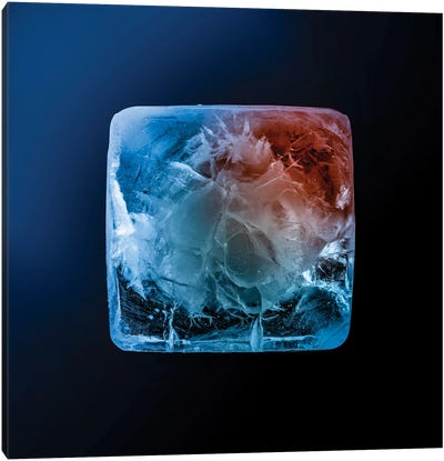 Ice Cube Canvas Art Print - Ice & Snow Close-Up Art