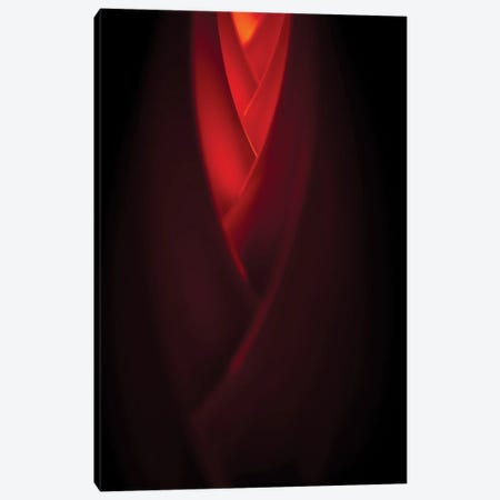 Modesty In Red Canvas Print #NRV274} by Nik Rave Canvas Art