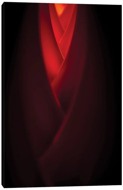 Modesty In Red Canvas Art Print - Red Abstract Art