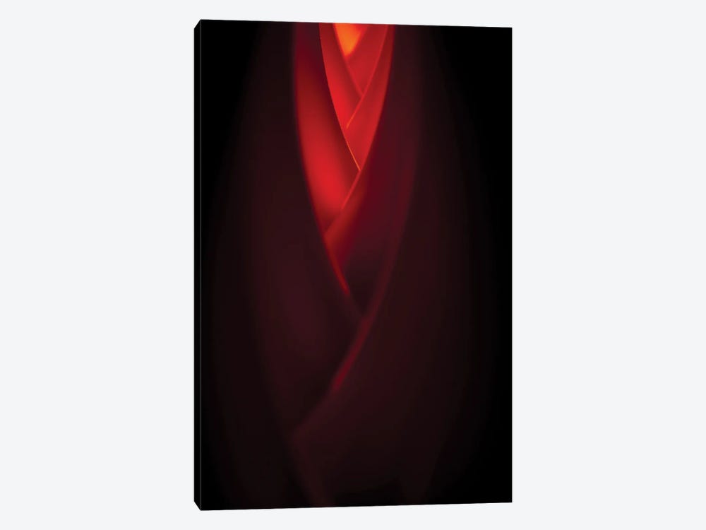 Modesty In Red by Nik Rave 1-piece Canvas Wall Art