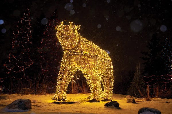 Polar Bears: Polar Bear Christmas Lights by Nik Rave