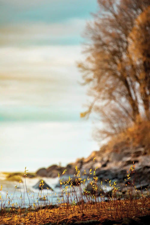 Shore Vertical Panorama