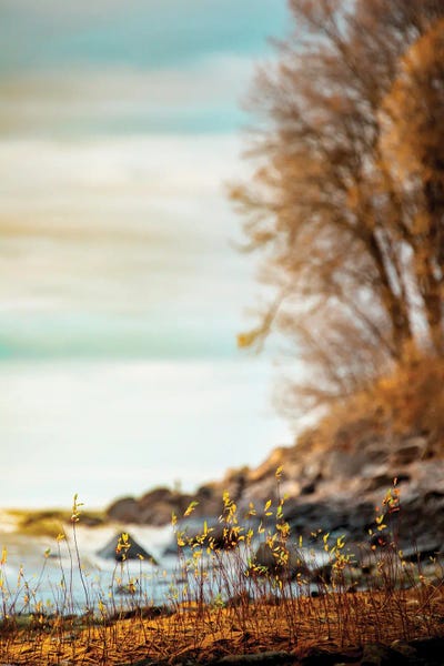 Nik Rave: Shore Vertical Panorama by Nik Rave