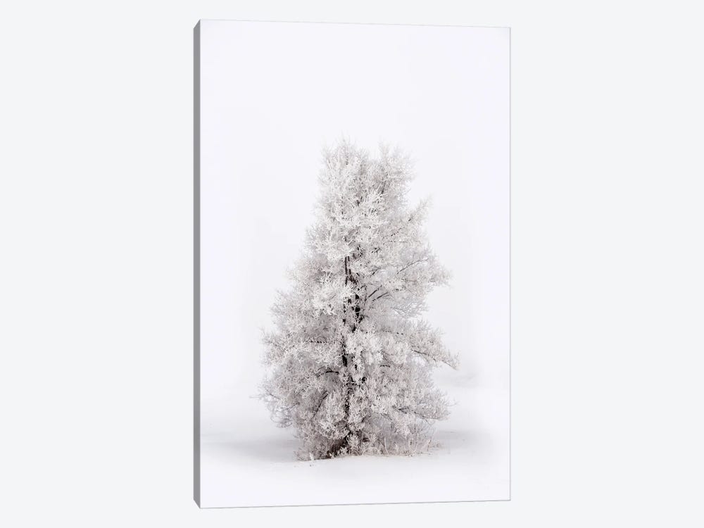 Snowy Tree At Winter by Nik Rave 1-piece Canvas Art