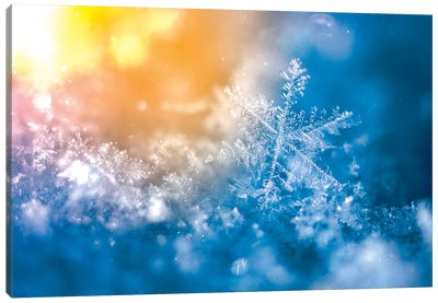 Epic Snowflake On The Sun Canvas Art Print - Ice & Snow Close-Up Art