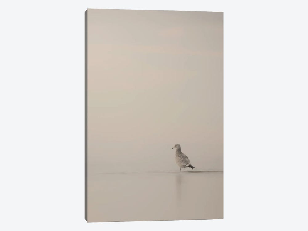 Seagull Foggy Morning by Nik Rave 1-piece Canvas Art