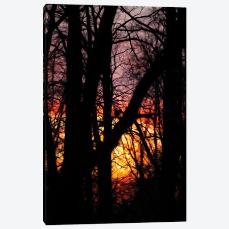Sunset In A Forest Squirrel With Drawing Canvas Print #NRV291} by Nik Rave Art Print