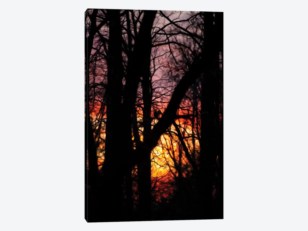 Sunset In A Forest Squirrel With Drawing by Nik Rave 1-piece Canvas Print