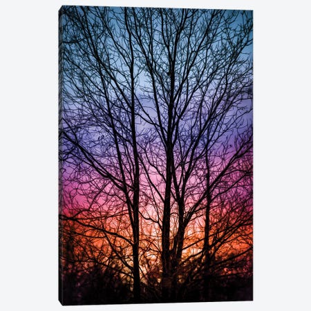 Sunset In A Forest Vibrant Drawing Canvas Print #NRV292} by Nik Rave Art Print