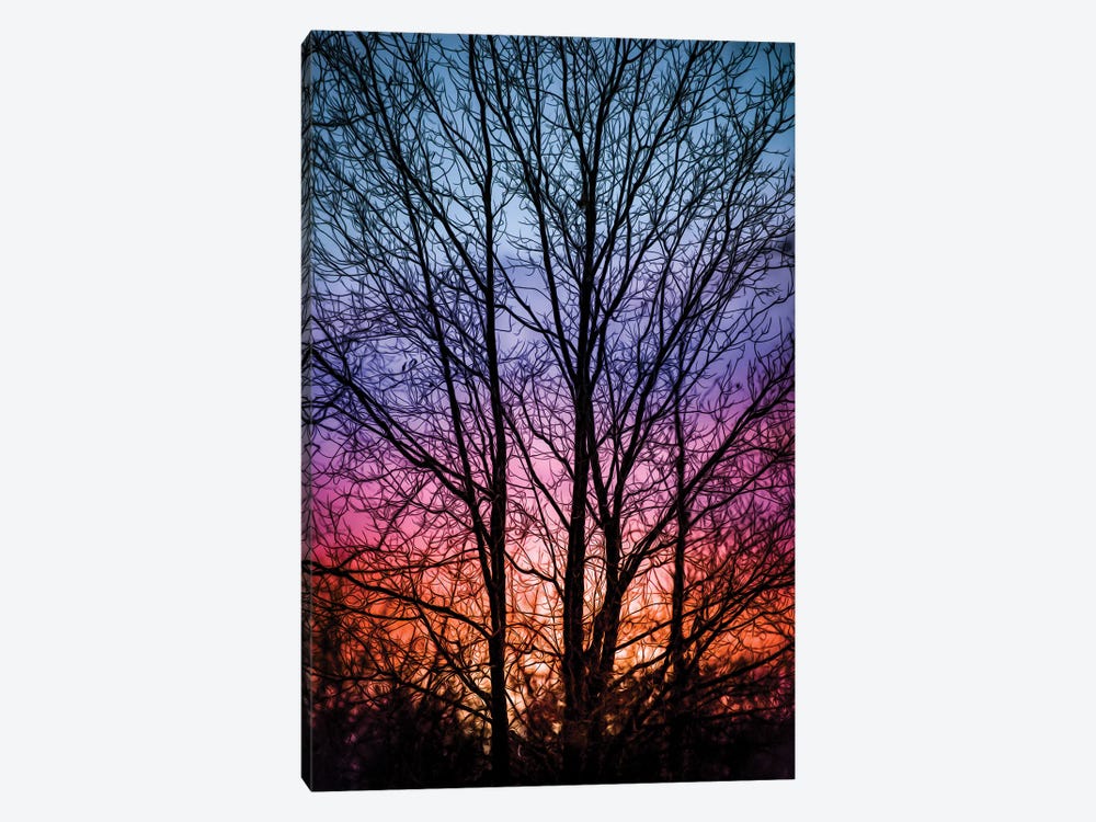 Sunset In A Forest Vibrant Drawing by Nik Rave 1-piece Canvas Art