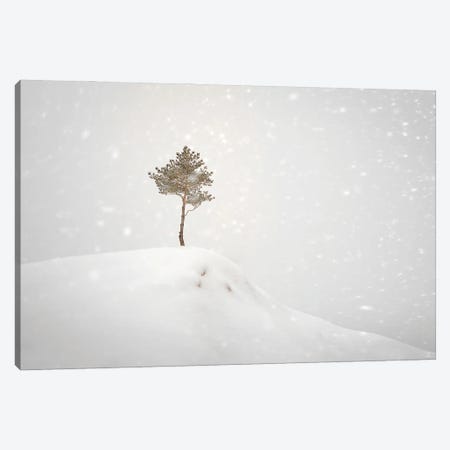 Winter Tree On The Hill Canvas Print #NRV293} by Nik Rave Canvas Art Print