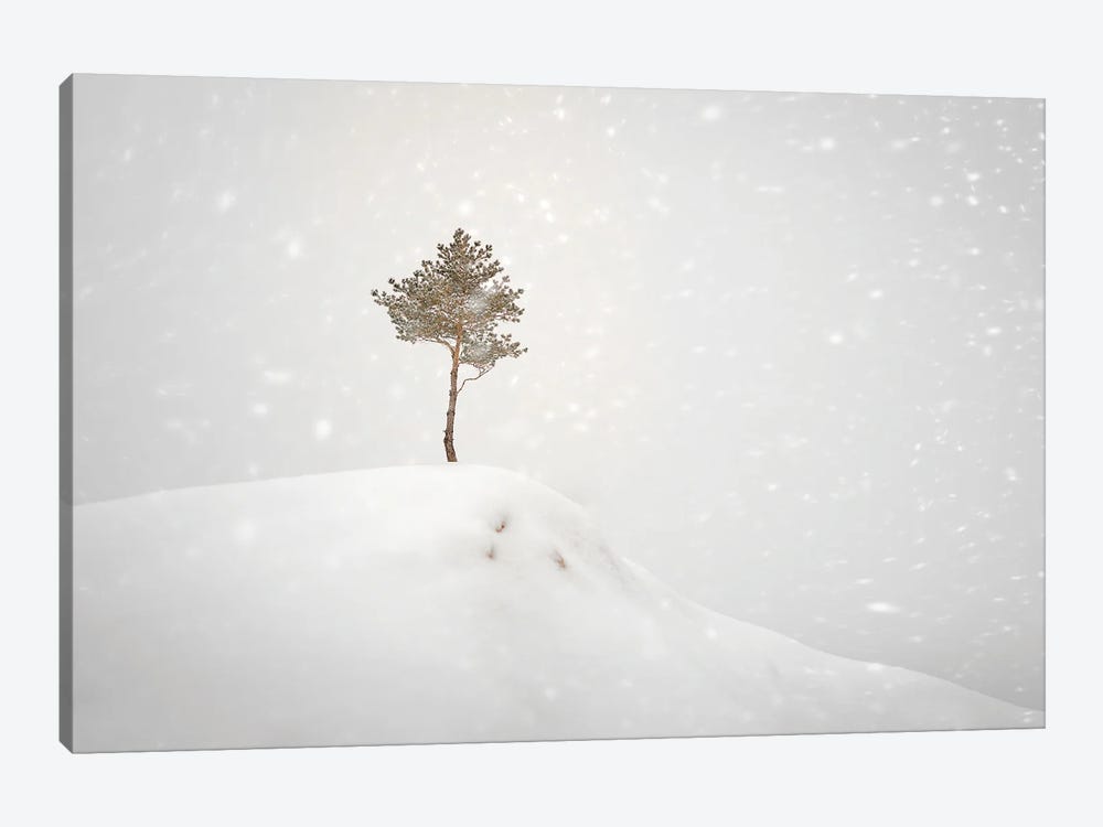 Winter Tree On The Hill by Nik Rave 1-piece Canvas Art Print