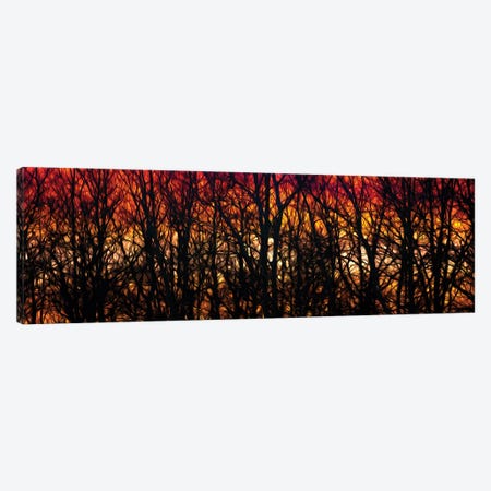 Sunset In A Forest Drawing Canvas Print #NRV295} by Nik Rave Canvas Art