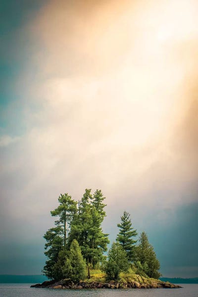 Pine Trees: Small Island by Nik Rave