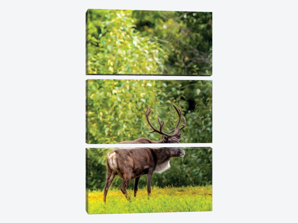 Caribou In Spotlight Drawing by Nik Rave 3-piece Canvas Wall Art