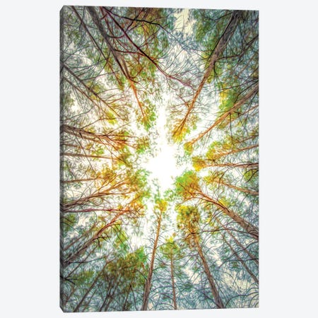 Cotton Candy Sky Tree Outline Canvas Print by Nik Rave | iCanvas