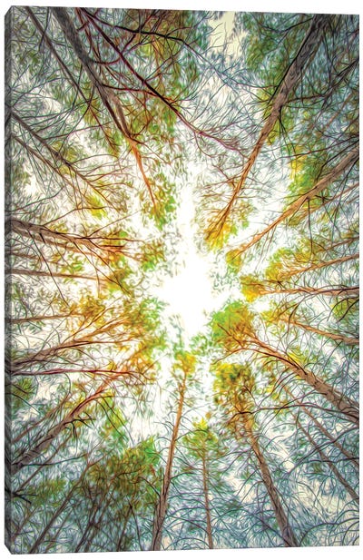 Canopy Of Trees Painting Canvas Art Print - Nik Rave