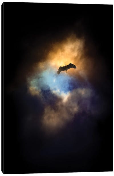 Eagle In A Spot Of Light Sky Canvas Art Print - Nik Rave