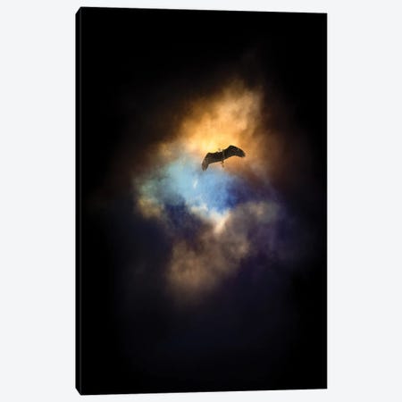Eagle In A Spot Of Light Sky Canvas Print #NRV307} by Nik Rave Canvas Artwork