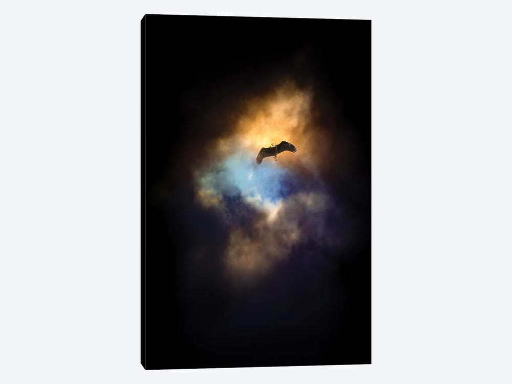 Eagle In A Spot Of Light Sky by Nik Rave 1-piece Art Print