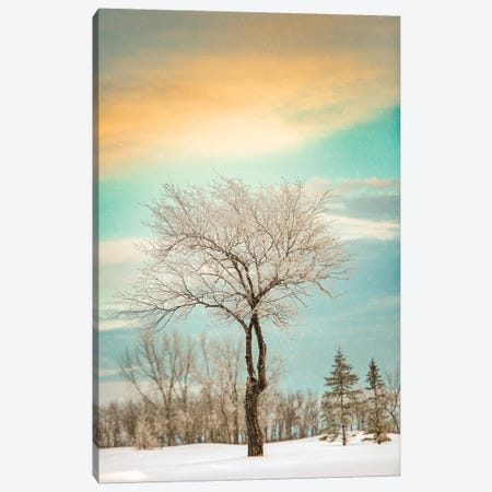 Lonely Tree Covered By Snow Canvas Print #NRV31} by Nik Rave Canvas Print