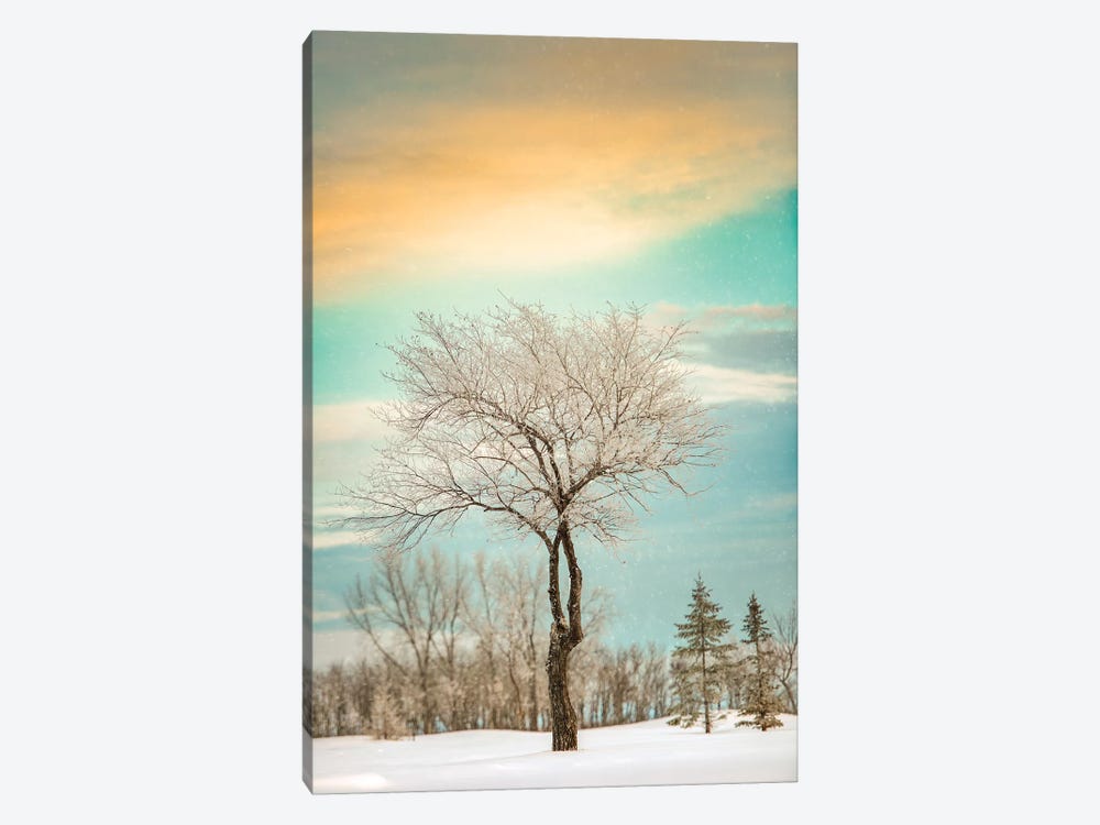 Lonely Tree Covered By Snow by Nik Rave 1-piece Canvas Art