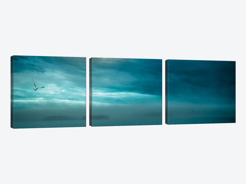 Seagull At Foggy Lake At Night by Nik Rave 3-piece Canvas Art