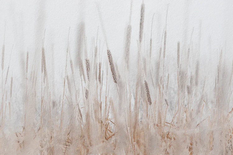 Cattails Hoarfrost Painting