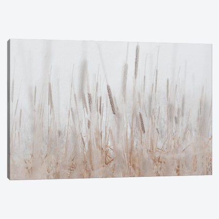 Cattails Hoarfrost Painting Canvas Print #NRV340} by Nik Rave Canvas Print
