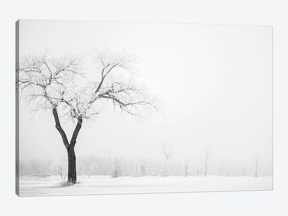 Hoarfrost Lonely Trees by Nik Rave 1-piece Canvas Wall Art