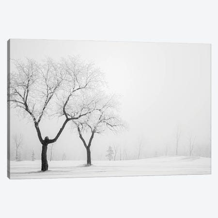 Two Hoarfrost Trees Canvas Print #NRV351} by Nik Rave Canvas Wall Art