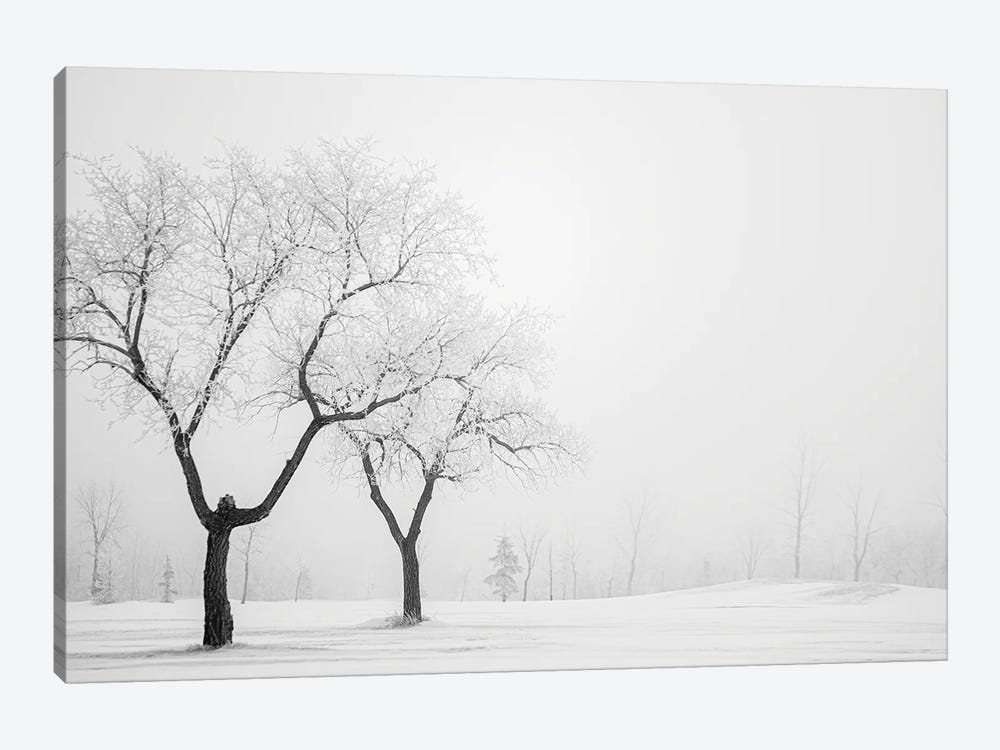 Two Hoarfrost Trees by Nik Rave 1-piece Canvas Art