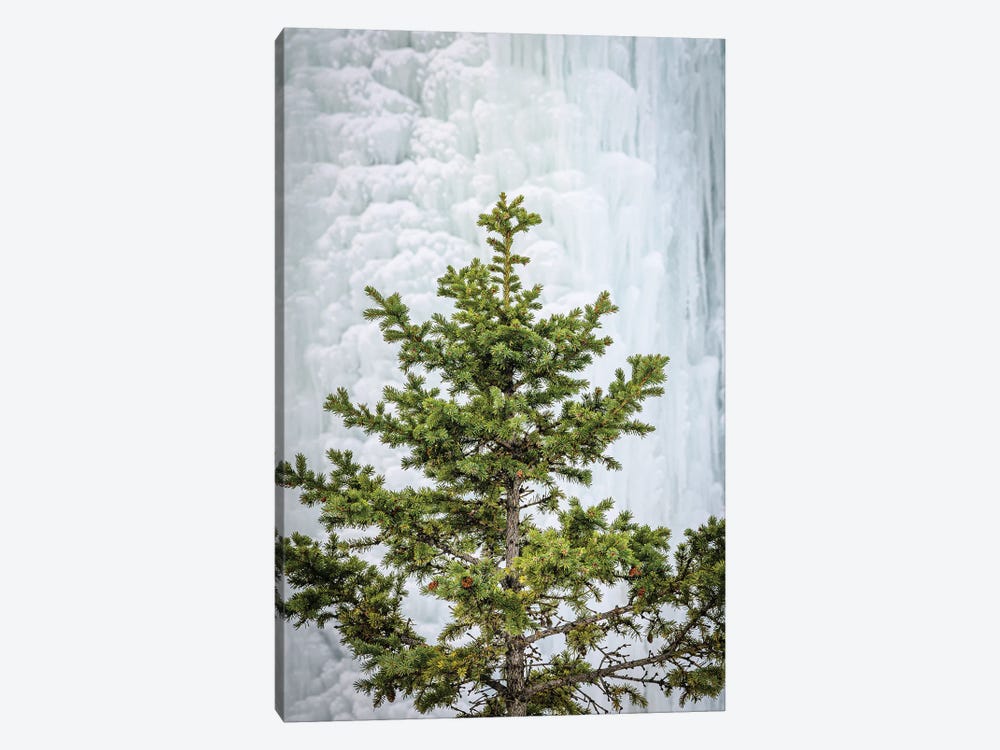 Pine At The Frozen Waterfall by Nik Rave 1-piece Canvas Art Print