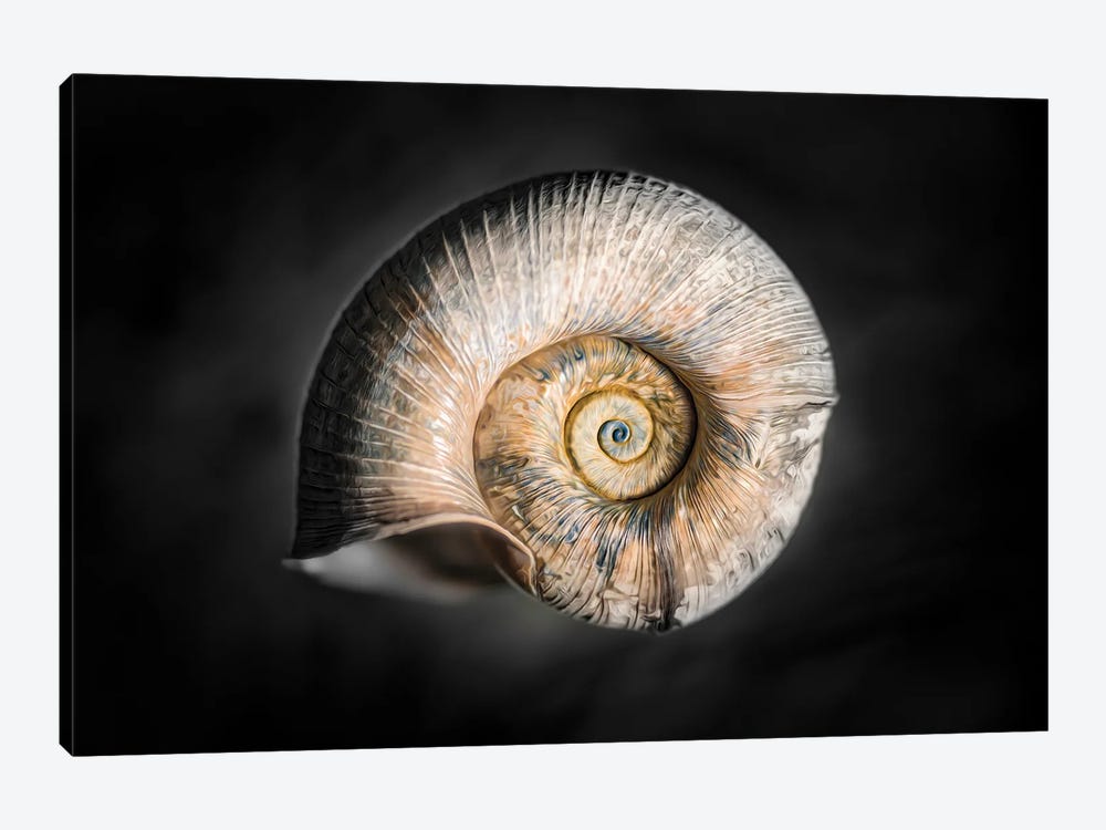 100 Years Of Shell Gold Edition by Nik Rave 1-piece Art Print